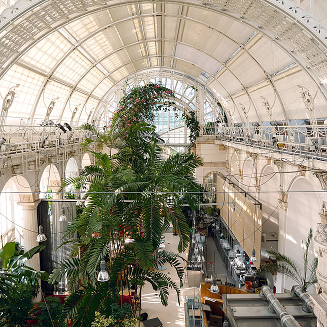 Restaurant & Café Palmenhaus
