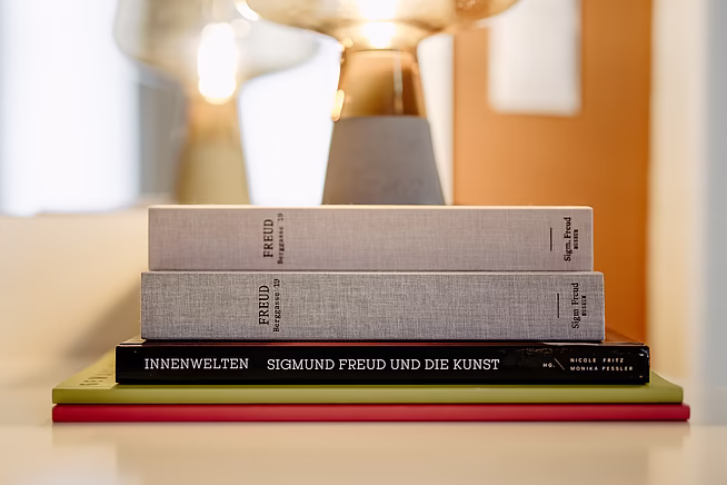 Suite Medium #63 - Freud Suite - Boutique Hotel Altstadt Vienna