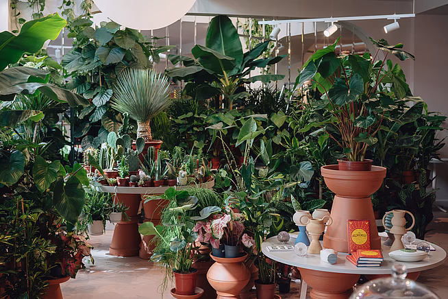 Calienna - Boutique Hotel Altstadt Vienna