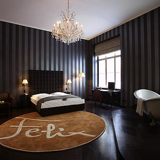 Suite XL #9 - Felix Suite - Boutique Hotel Altstadt Vienna