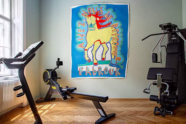 Fitness - Boutiquehotel Altstadt Vienna