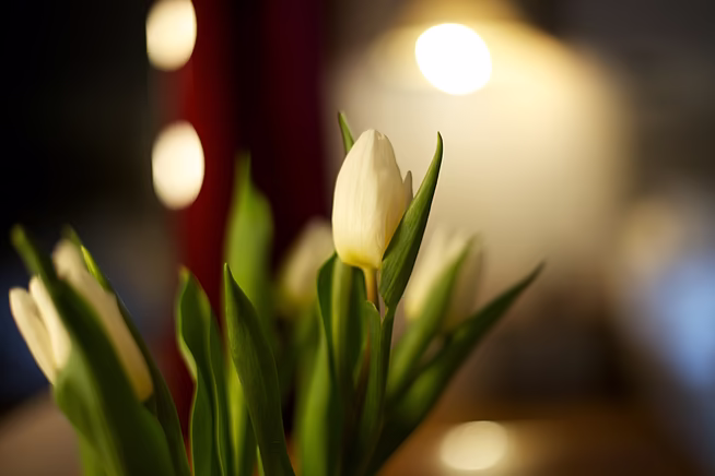 Suite Medium #65 - Theater Suite - Boutique Hotel Altstadt Vienna